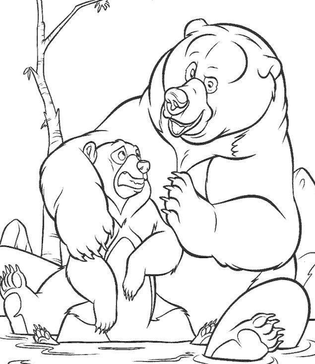 coloriage freres des ours dans l eau
